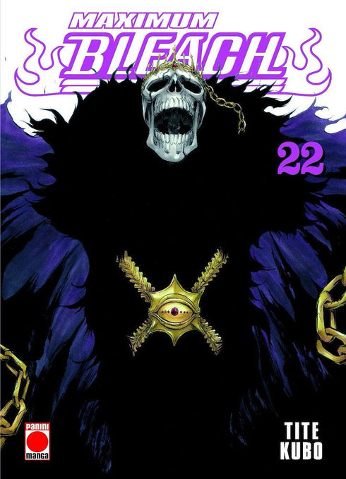 Bleach Maximum 22